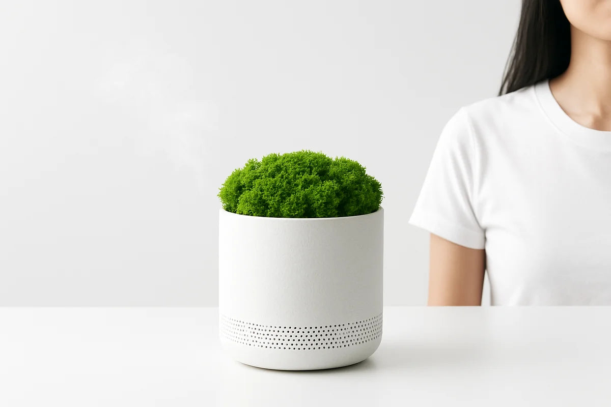 Do Moss Air Purifiers Remove Mold Spores and Mildew Smell? - professional photograph