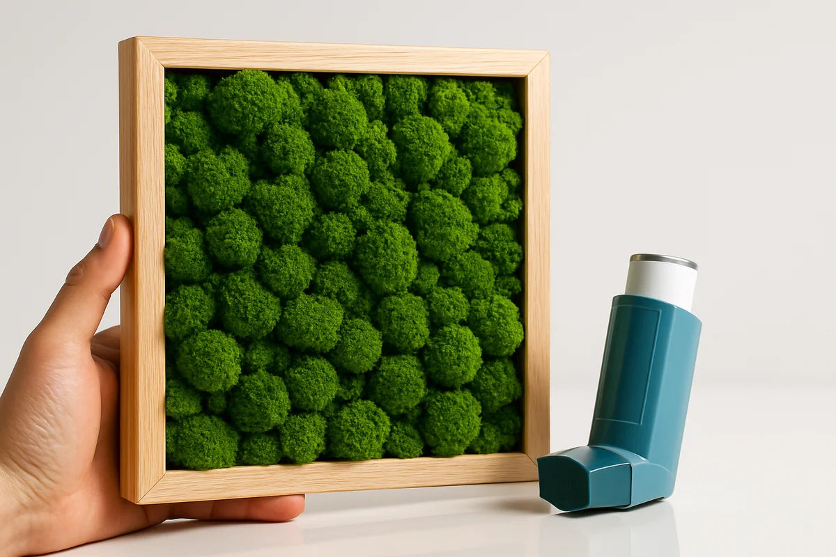 Can a Preserved Moss Wall Be Safe for Asthma and Allergies? - professional photograph