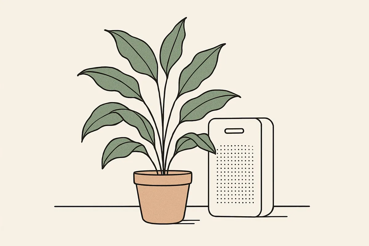 Natural Air Purifier Plants: How Houseplants Improve Indoor Air Quality - illustration