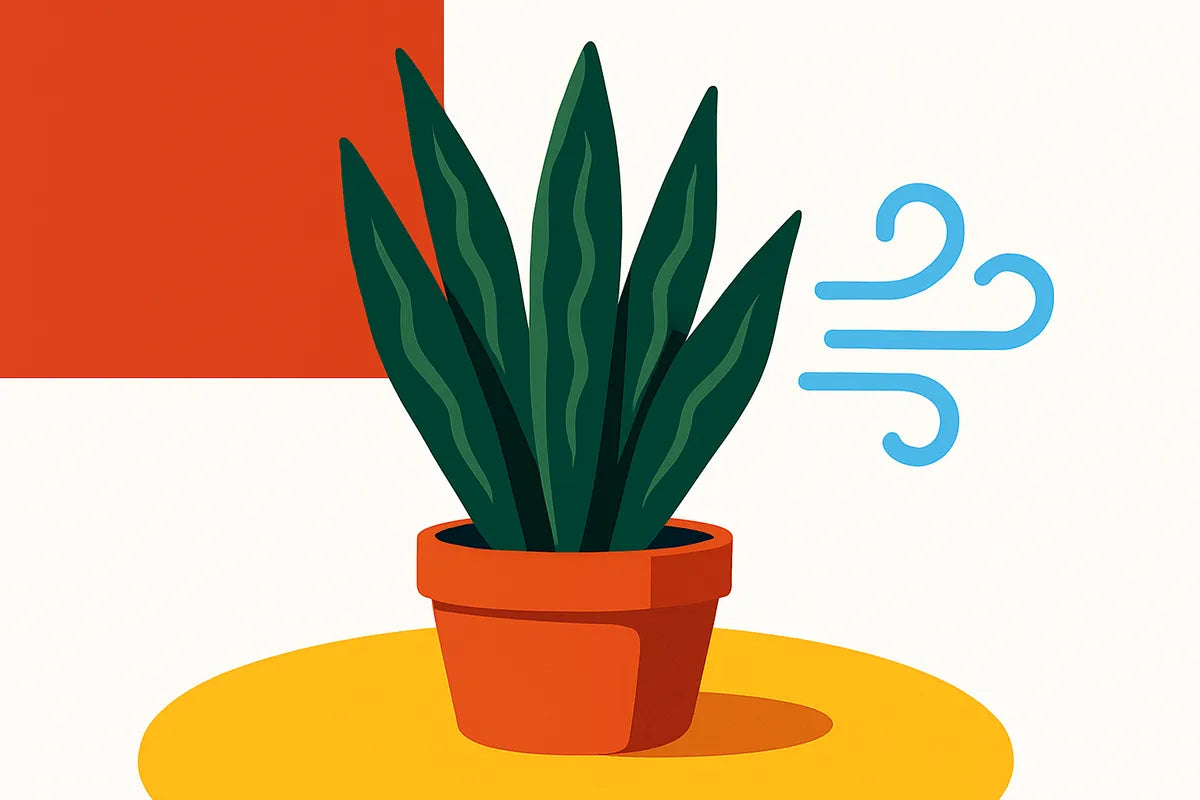 Natural Air Purifier for Home: Simple Ways to Breathe Cleaner Air Indoors - illustration