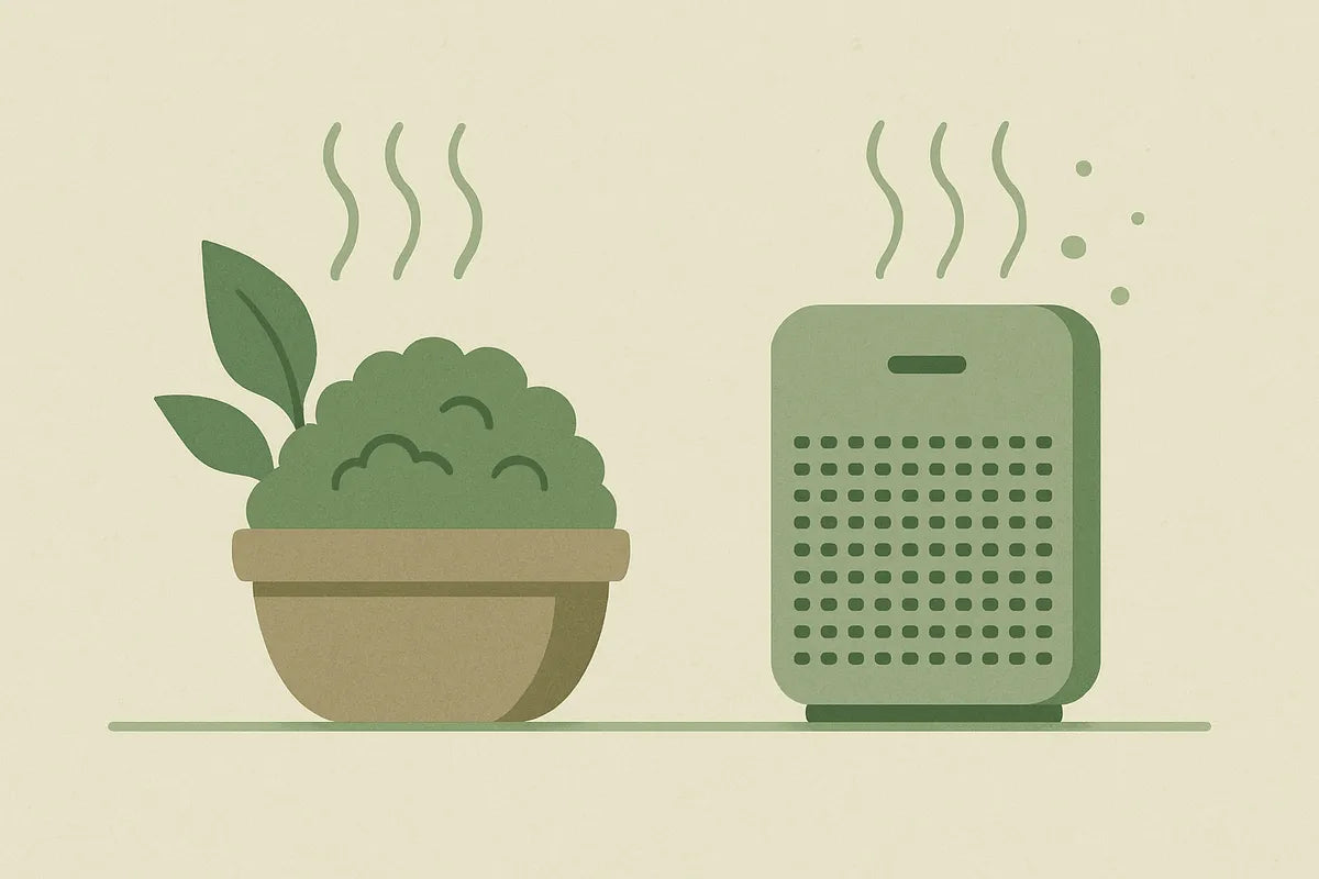 Moss Air vs Traditional Air Purifier: Which One Really Improves Air Quality? - illustration