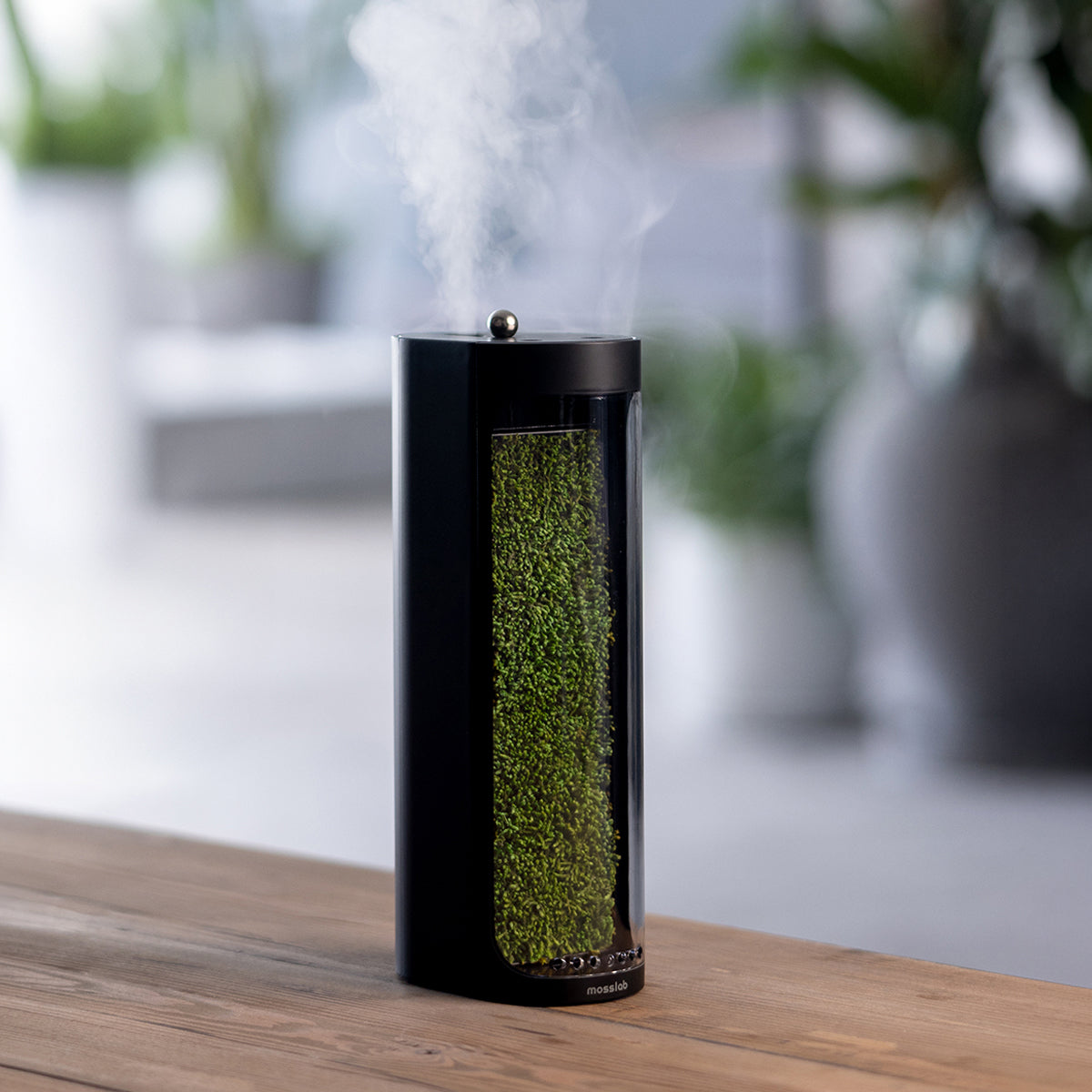Moss Air - Add Calm with Living Moss