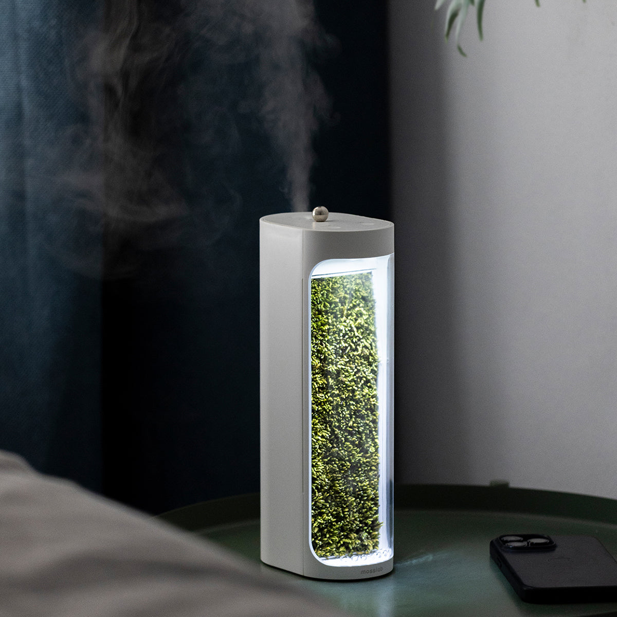 Moss Air - Add Calm with Living Moss