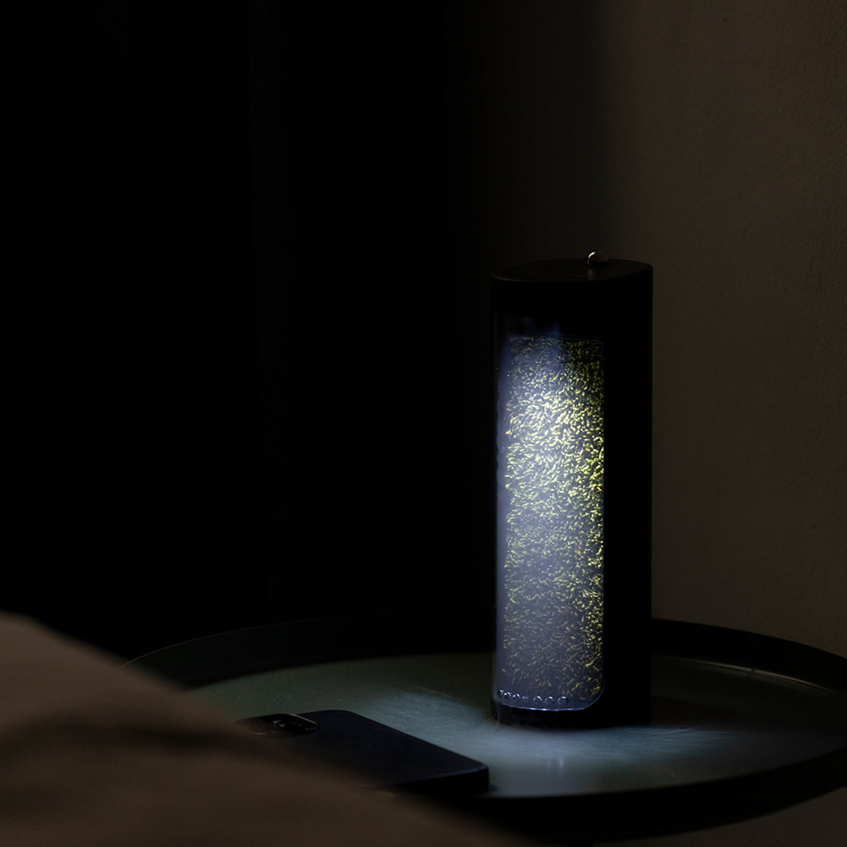 Moss Air - Add Calm with Living Moss