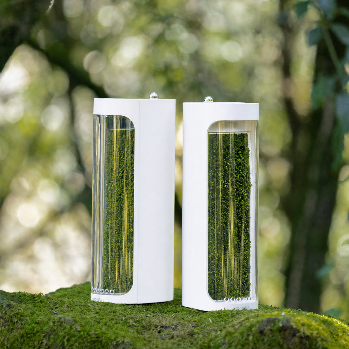 Moss Air - Double
