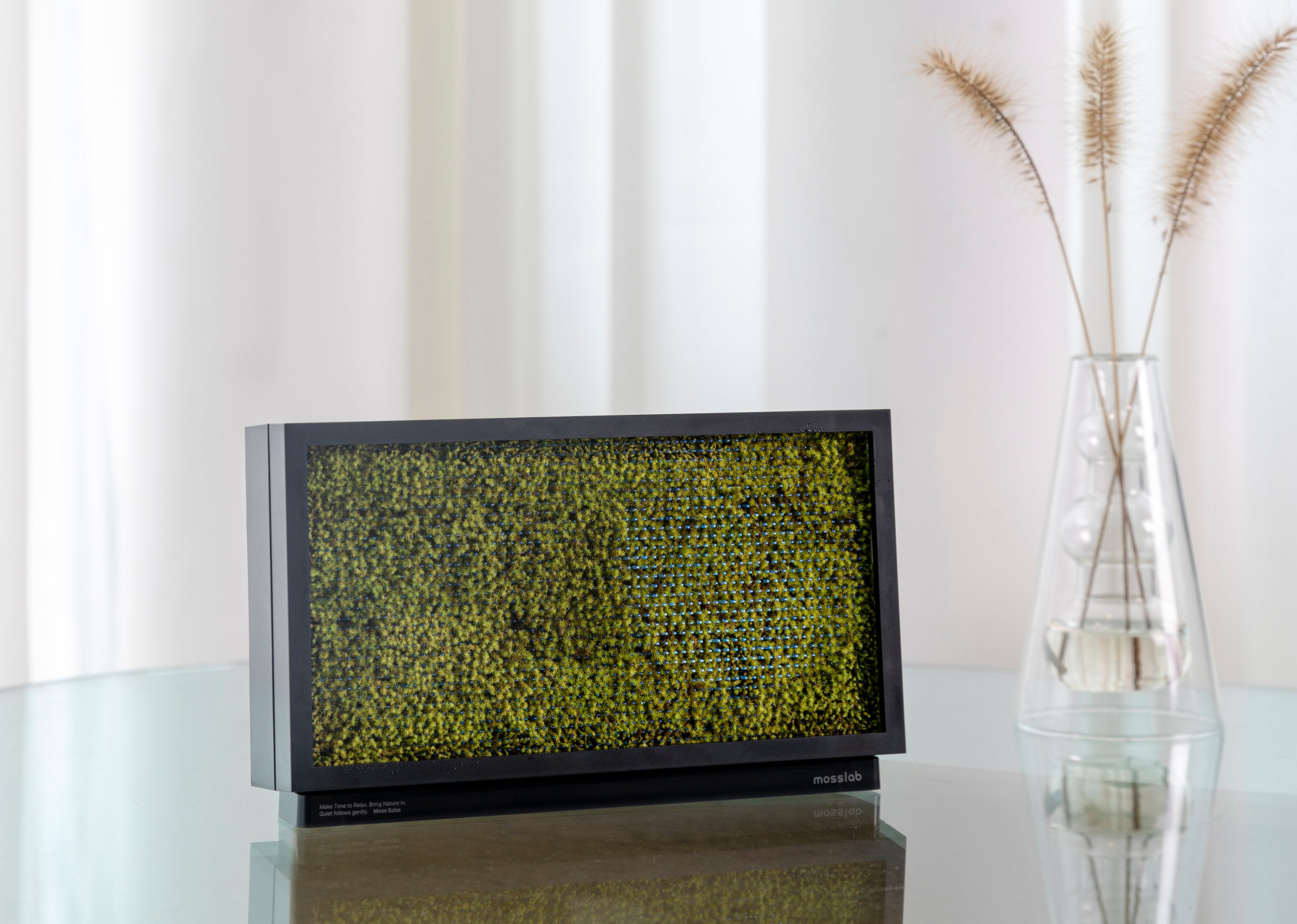 Moss Echo - Sleep Better, Feel Calmer