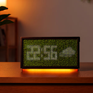Moss Echo