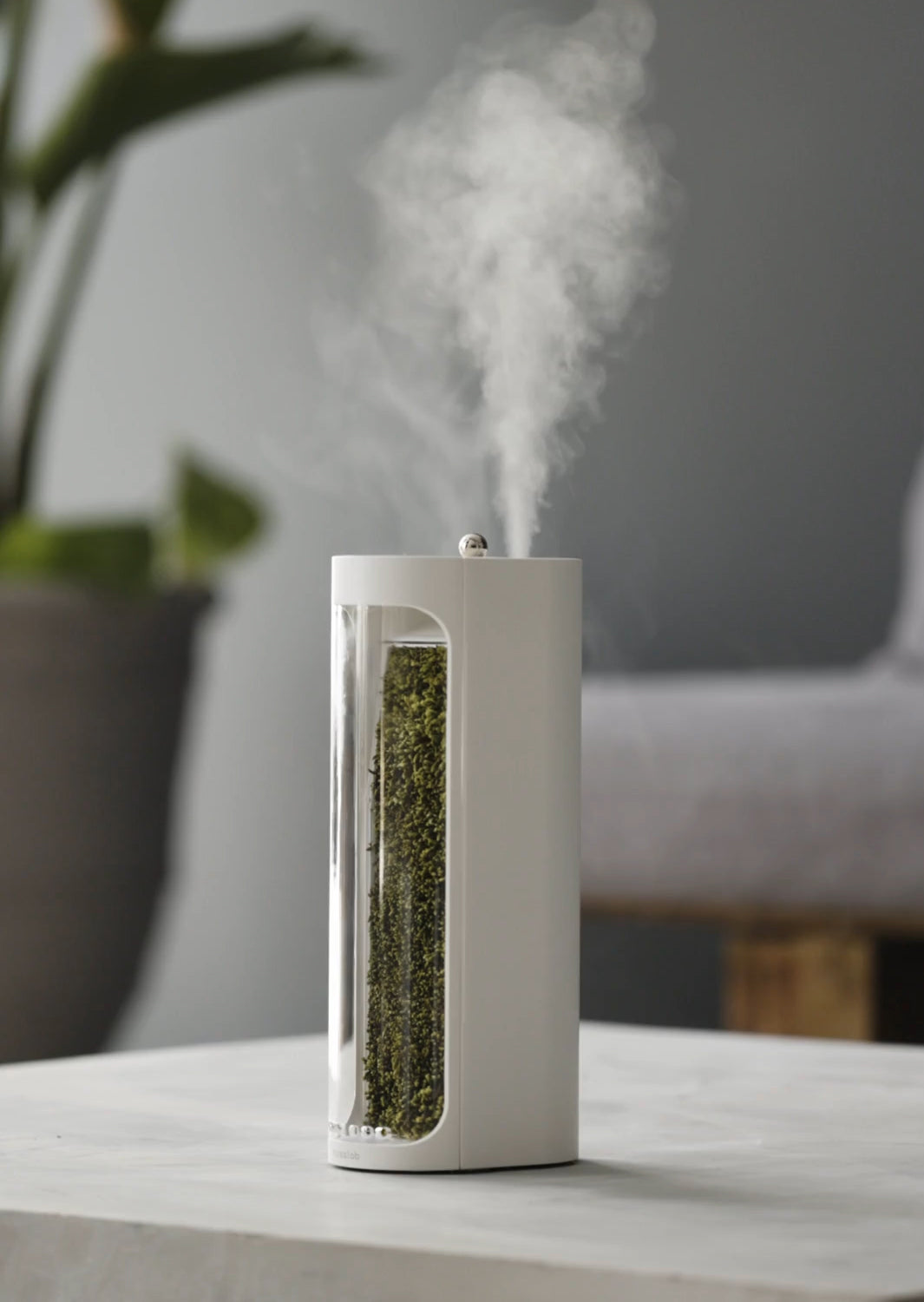 Moss Air - Add Calm with Living Moss