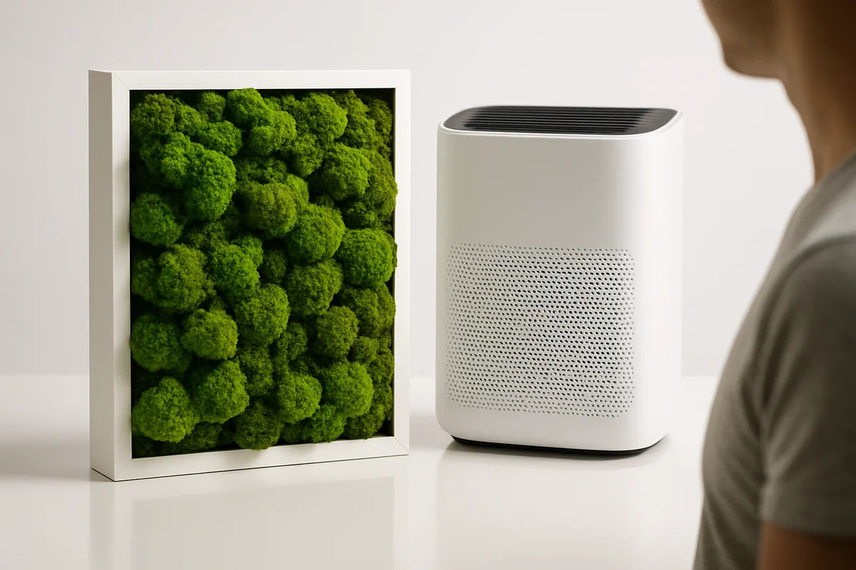 Moss Wall Air Purifier Health Risks: What’s Real, What’s Hype, and How to Stay Safe - professional photograph