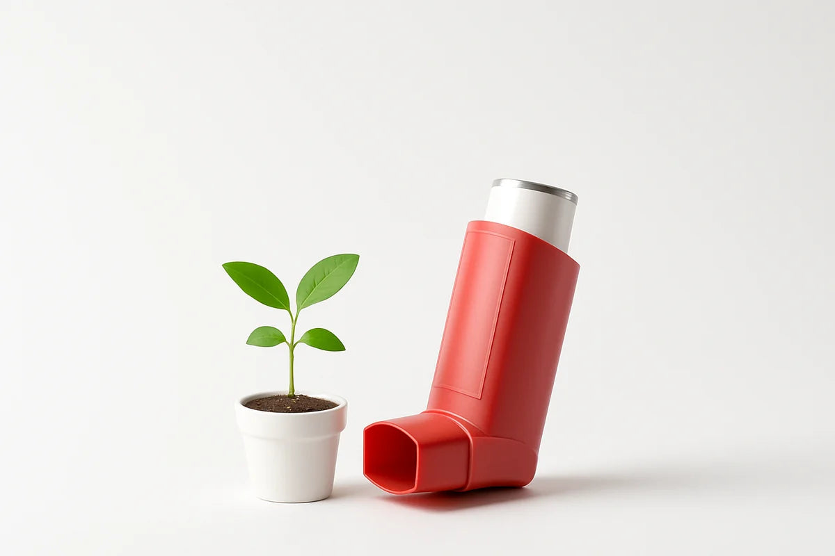 Breathe Easier at Home with Eco Friendly Air Quality Solutions for Asthma Sufferers - professional photograph