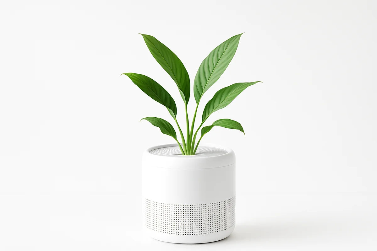 Nature’s Air Purification: How Plants, Soil, and Sunlight Clean the Air You Breathe - professional photograph