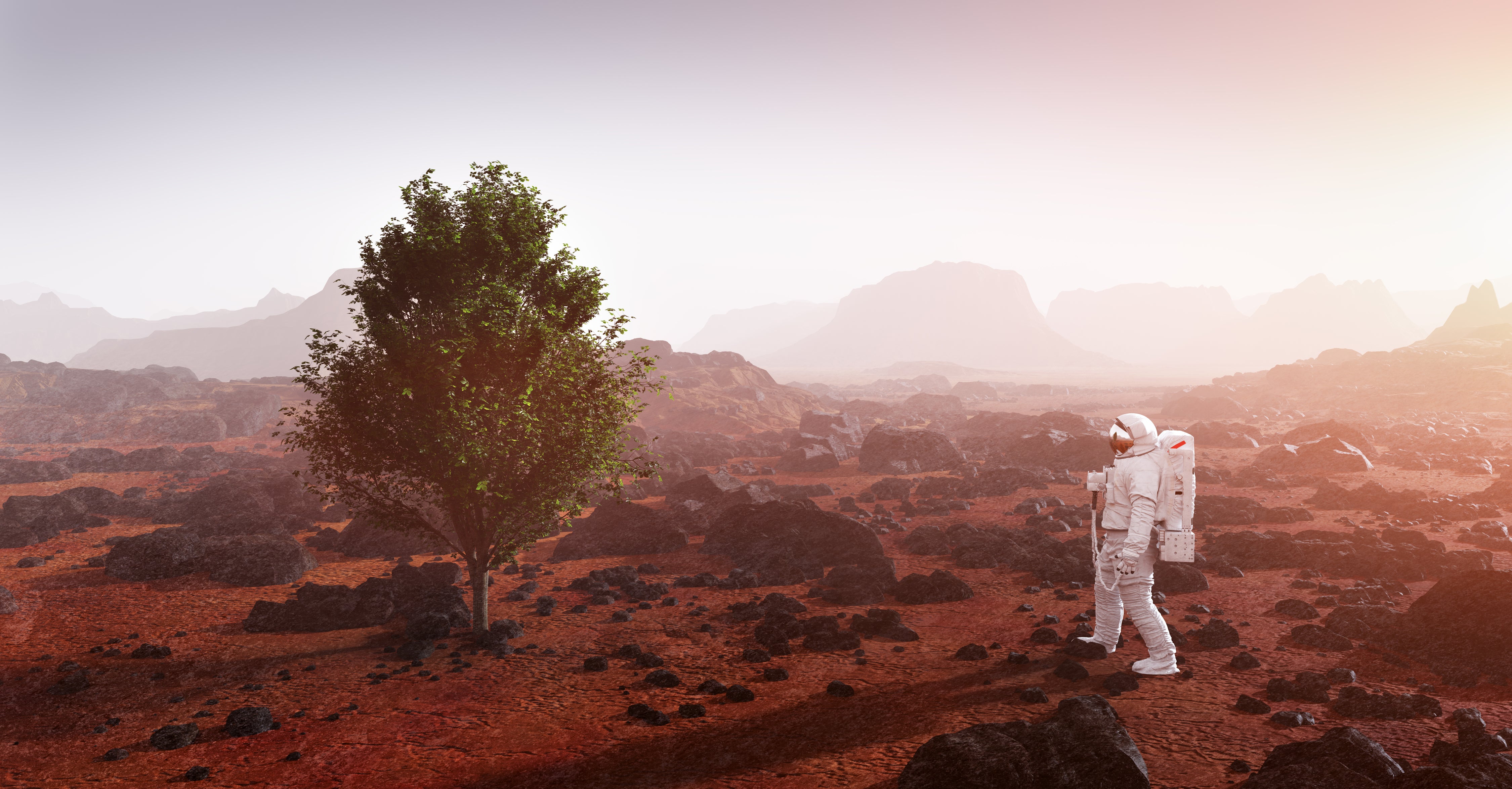 Mars Terraforming with Moss: Can We Turn the Red Planet Green?