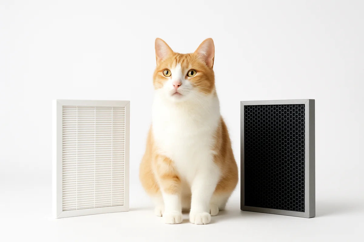 HEPA vs activated carbon filters for pet odors and allergies and how to pick the right one - professional photograph