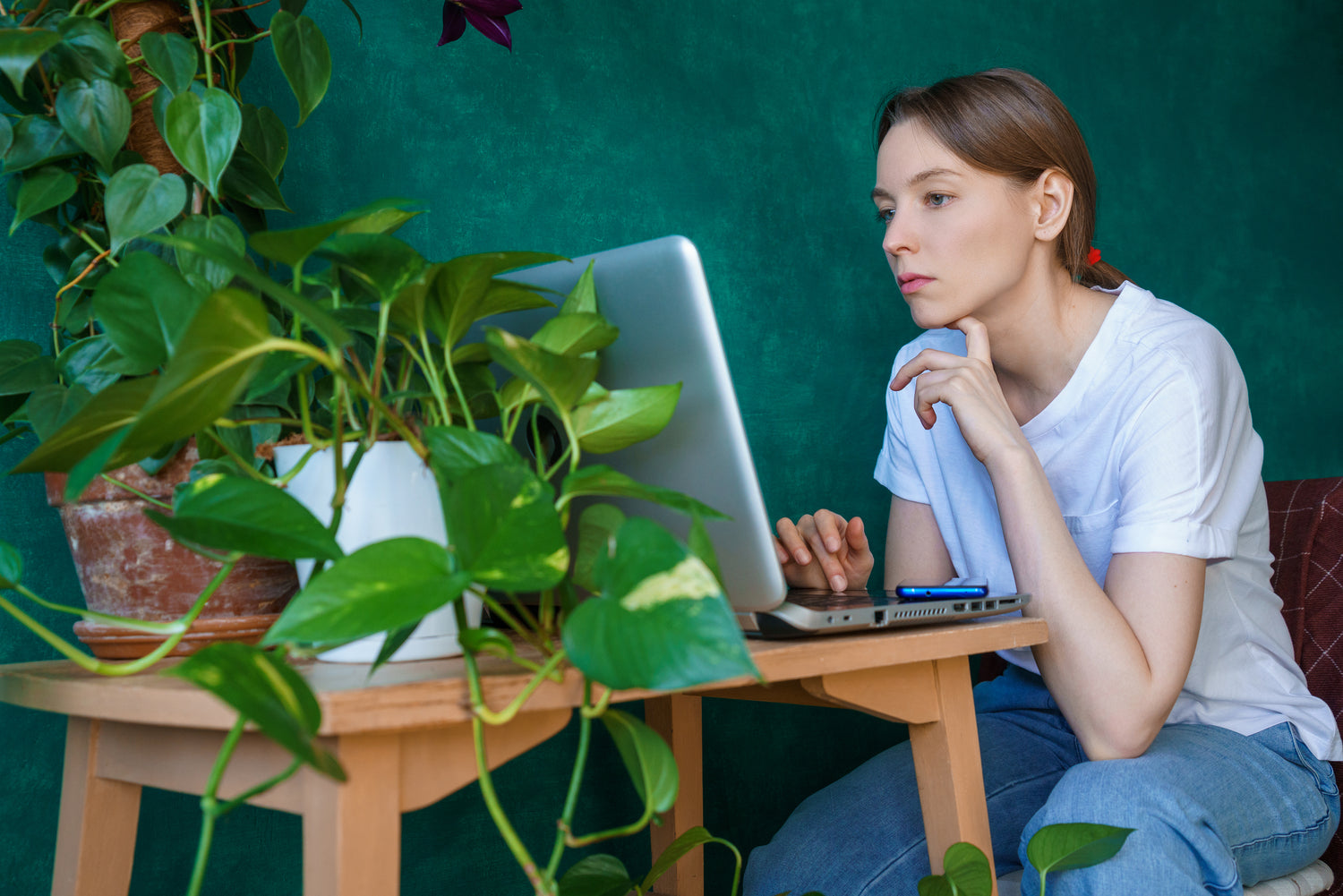 Enhancing Your Study Environment with Plants: Boosting Productivity and Well-being