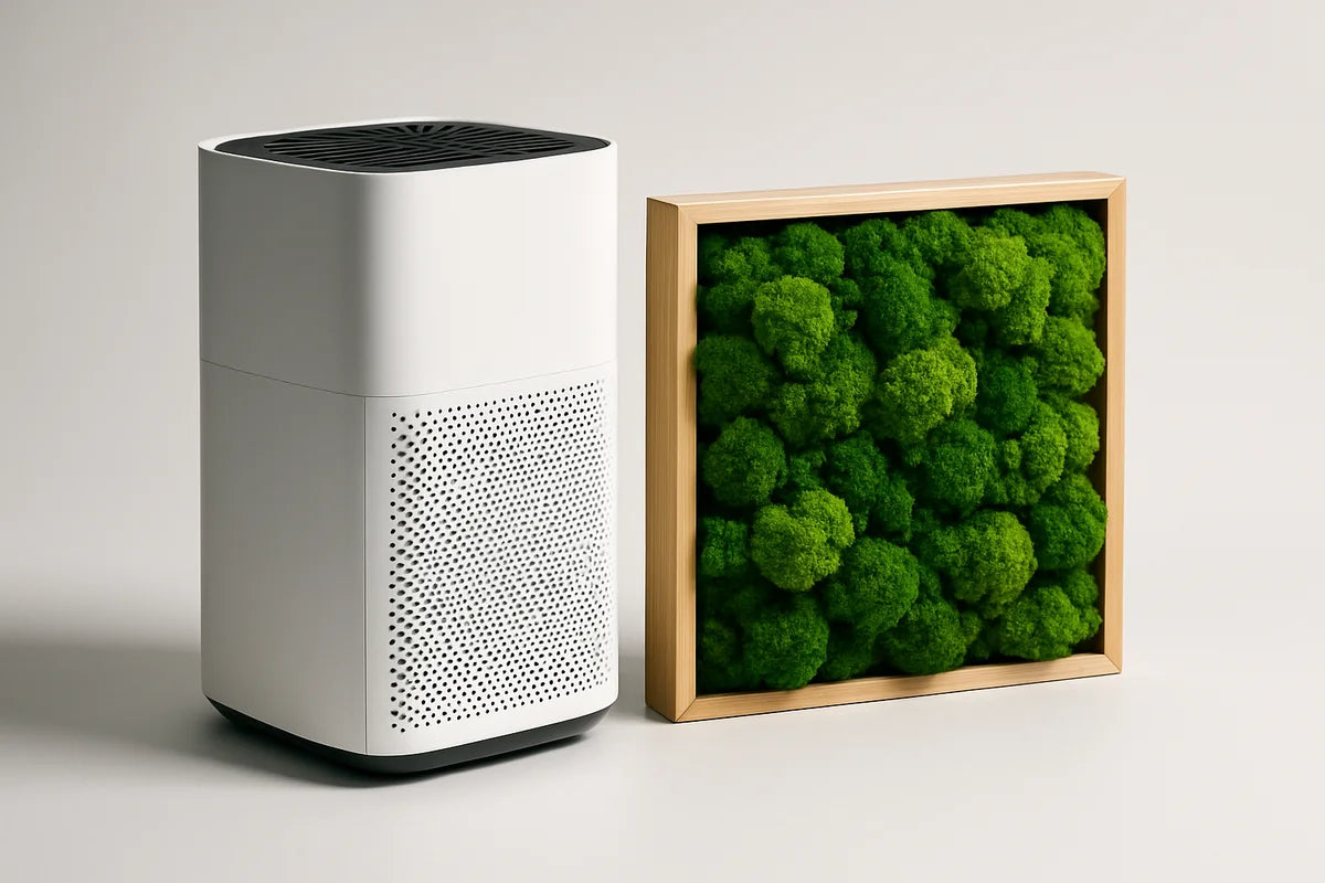 Eco Friendly Alternative to HEPA Air Purifiers: Moss Walls - professional photograph