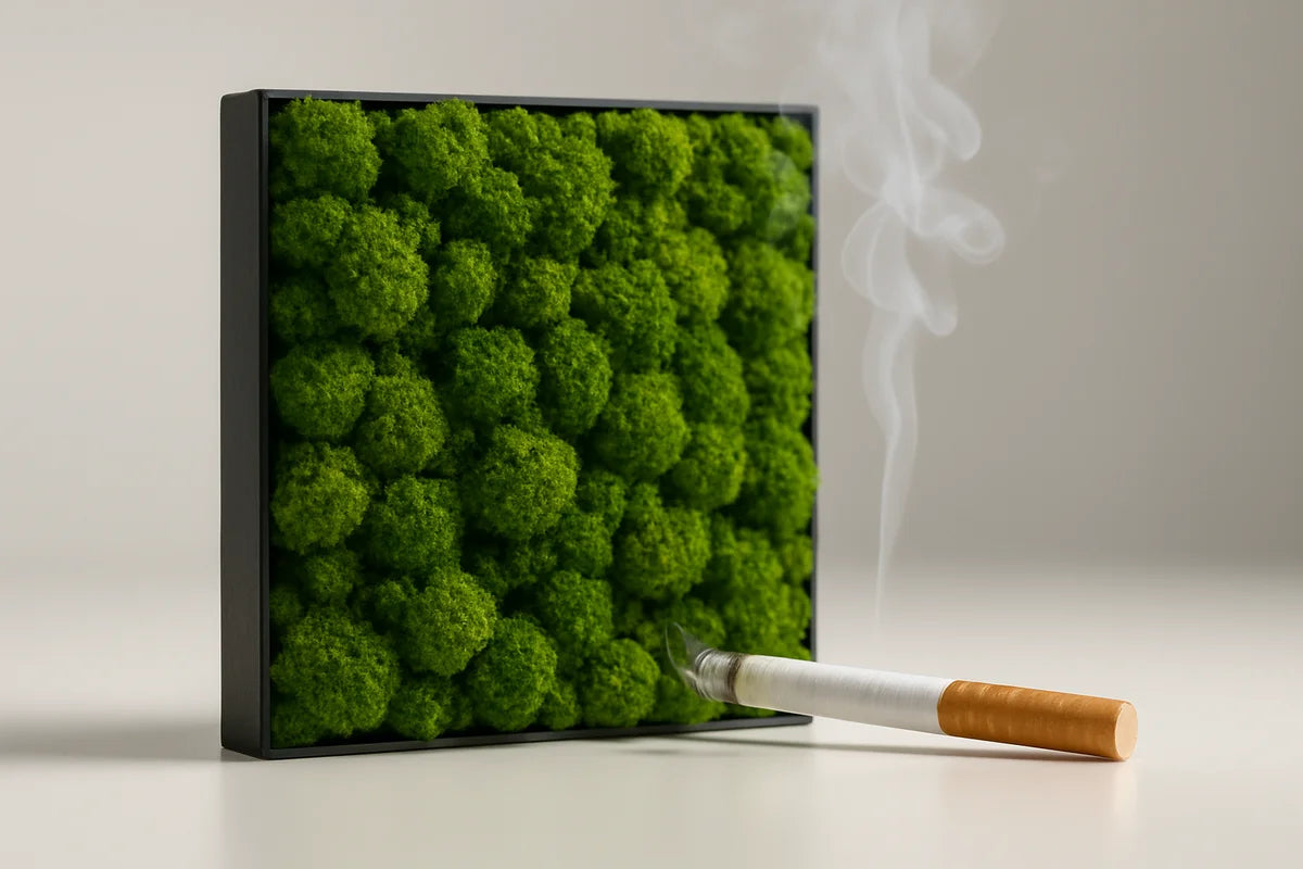 Can Moss Walls Absorb Cigarette Smoke and Odor or Do They Just Hide It? - professional photograph