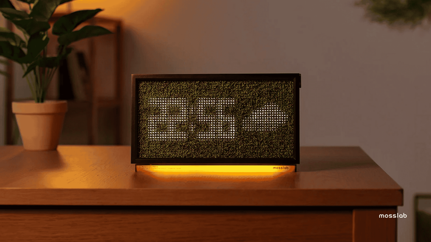 Moss-based digital clock displaying “23:56” with ambient orange light, placed on a wooden desk.