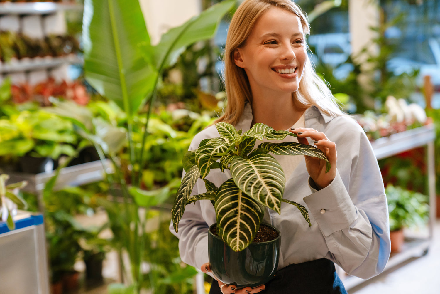 Grow Plants Indoors: Benefits for Your Family and Tips to Get Started #2