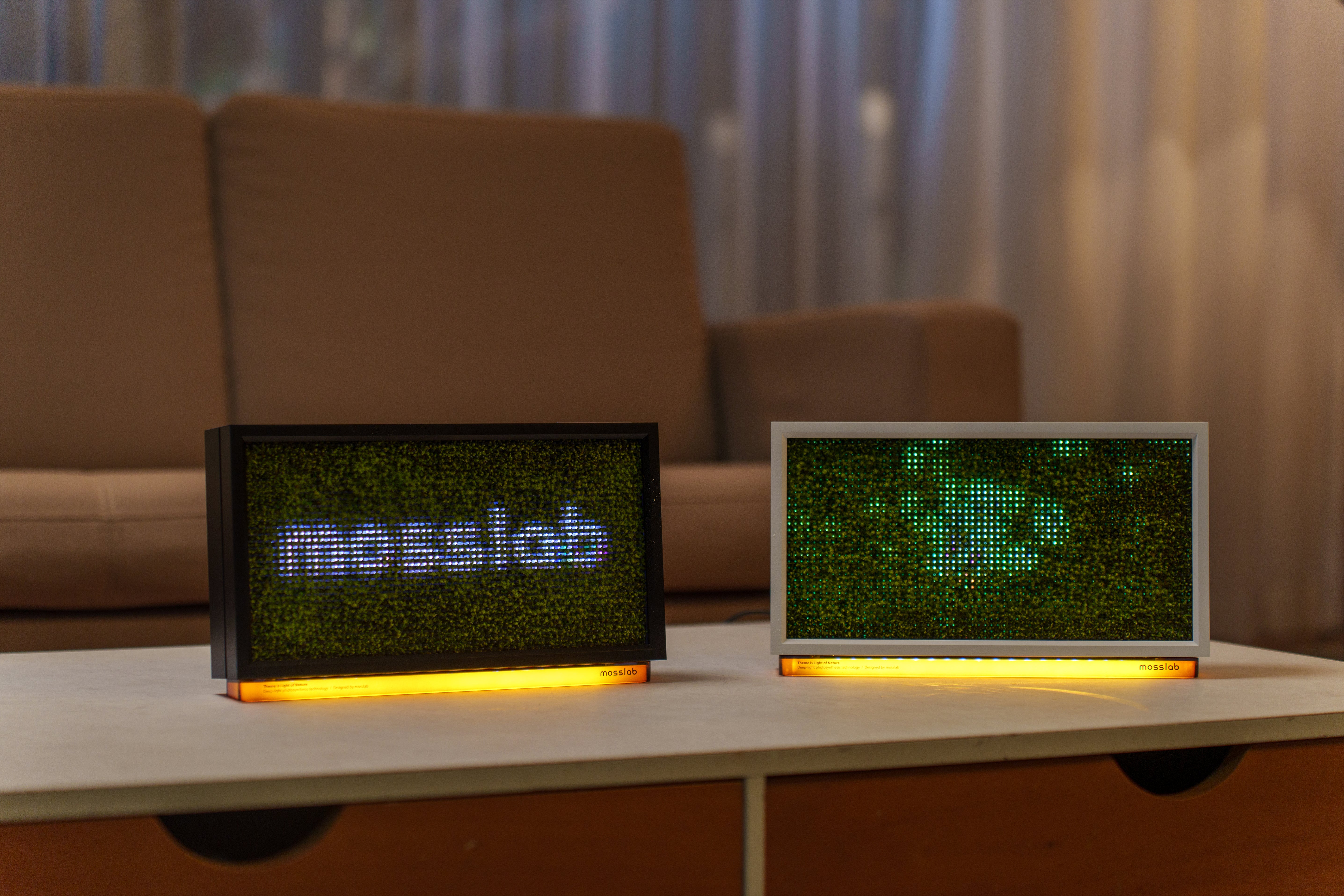 Moss Echo