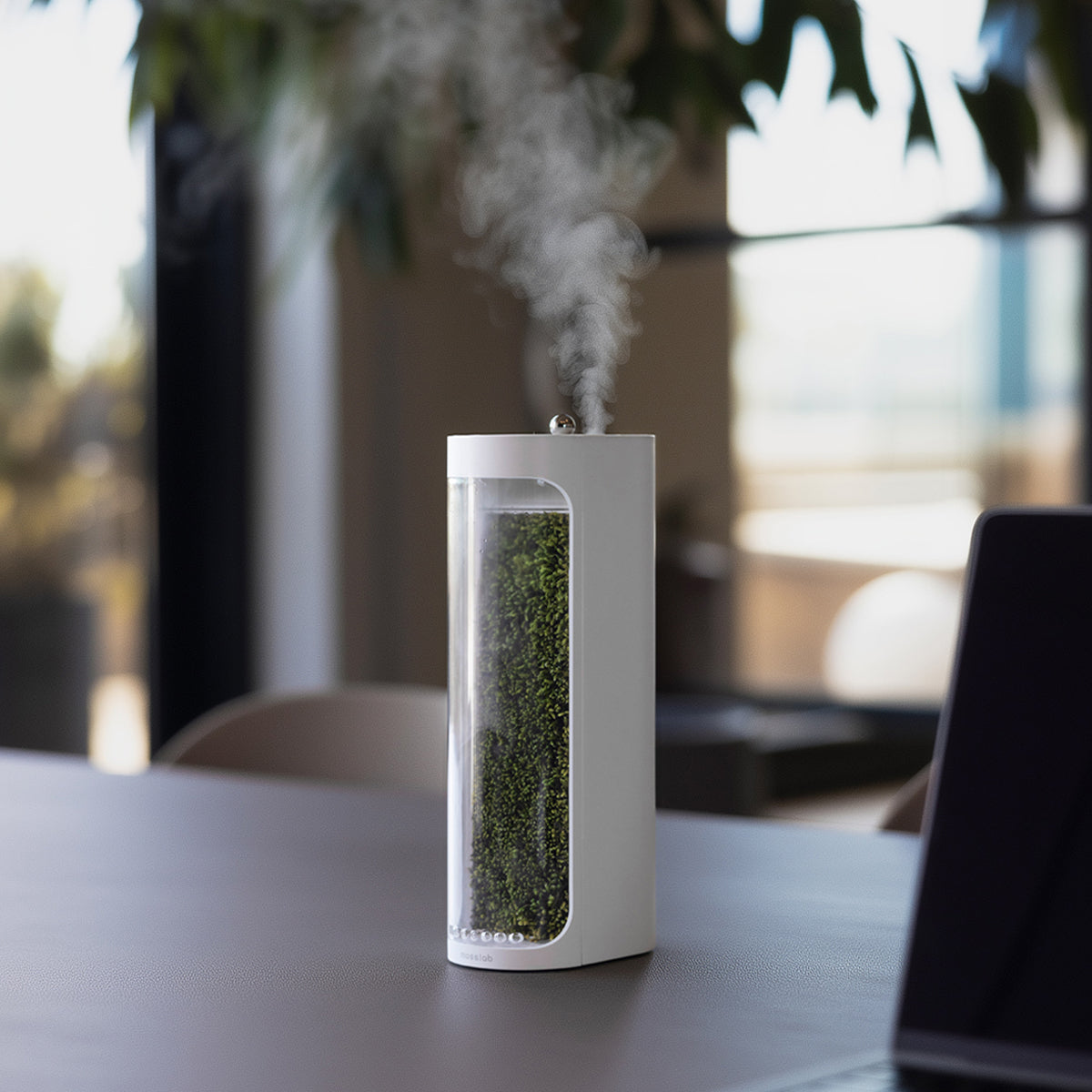 Moss Air - Add Calm with Living Moss