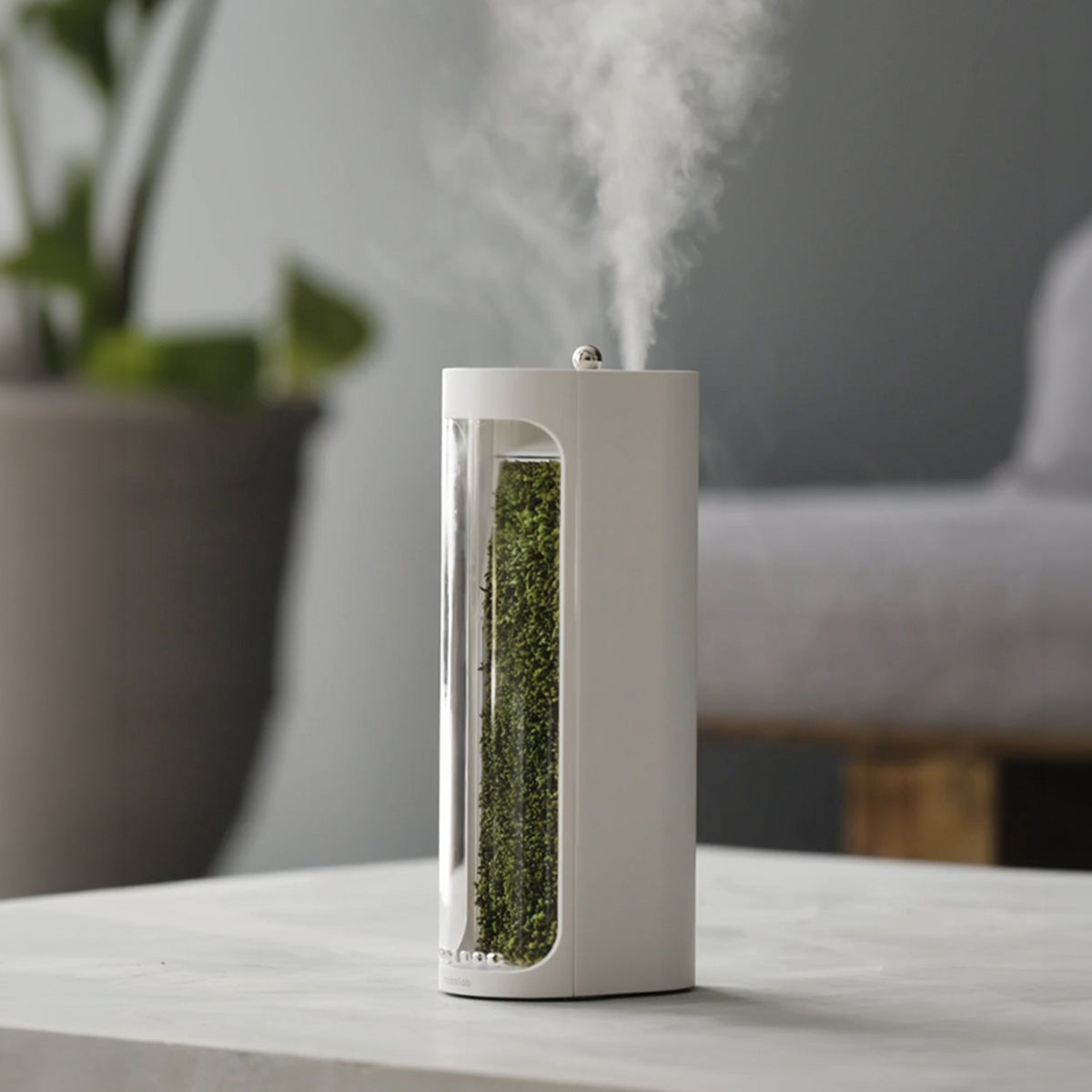 Moss Air - Add Calm with Living Moss