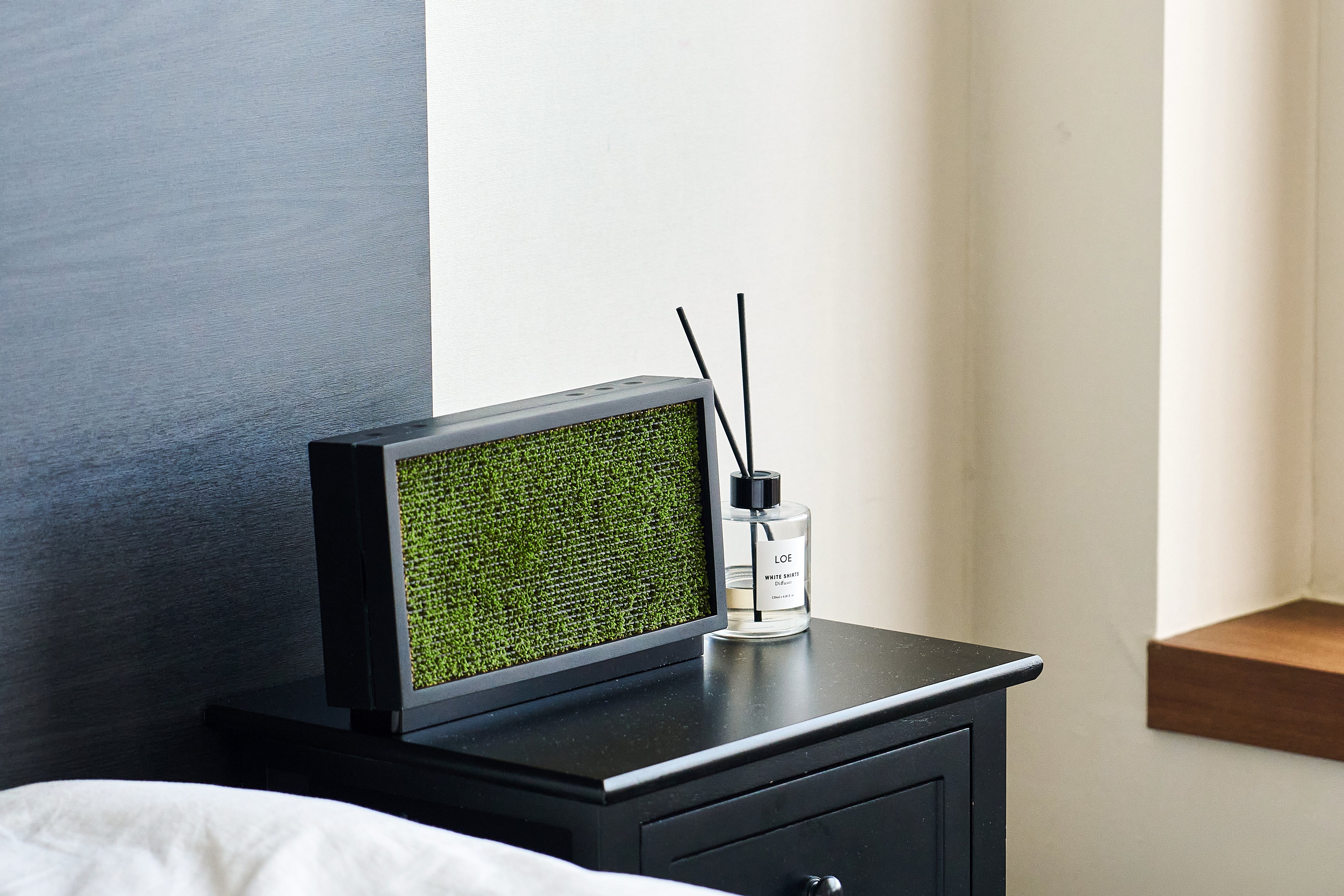 Moss Echo - Sleep Better, Feel Calmer